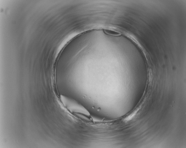 X0000053091048200508012027