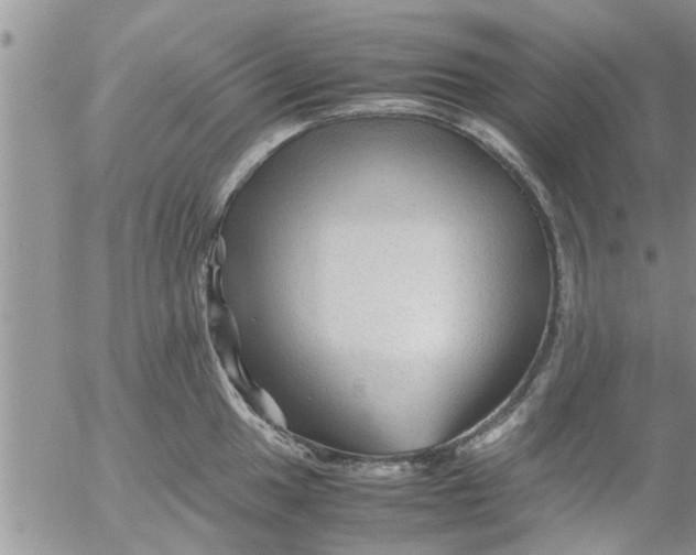 X0000053091049200508012027