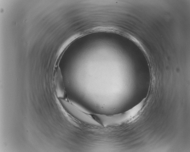 X0000053091050200508012027