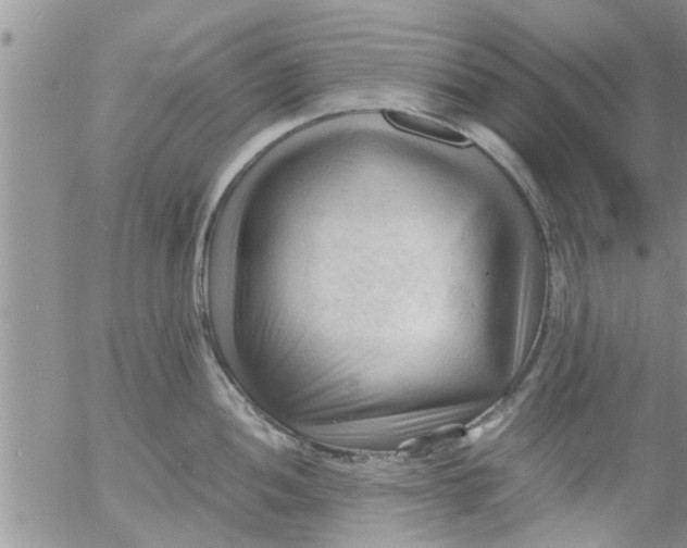 X0000053091052200508012027