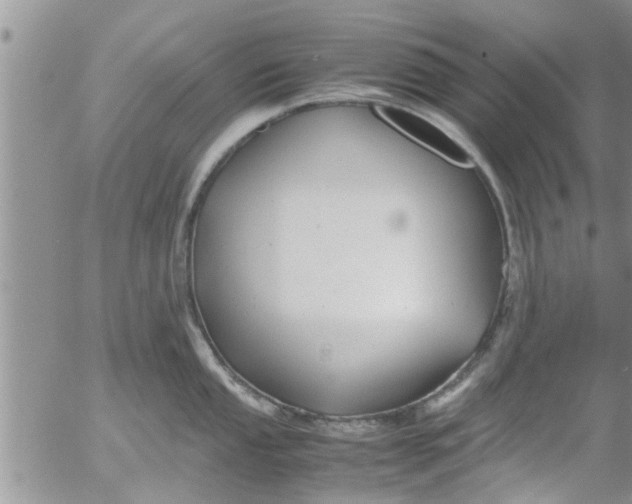 X0000053091053200508012027