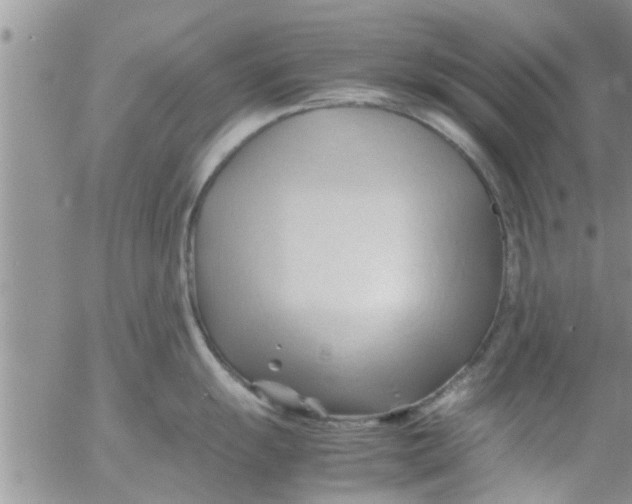 X0000053091055200508012027