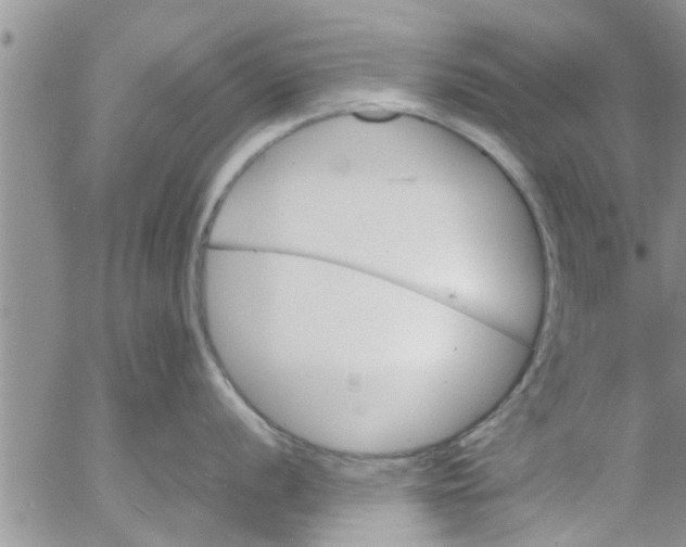 X0000053091056200508012027