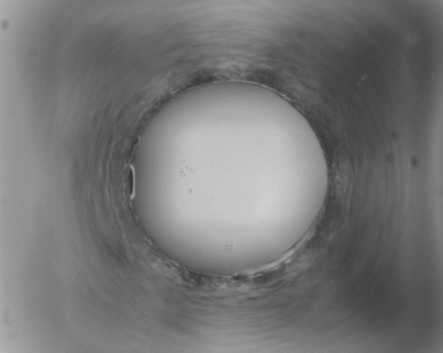 X0000053091057200508012026