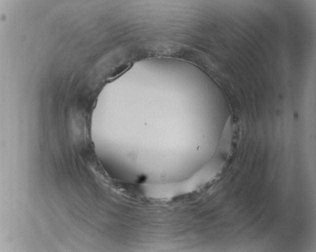 X0000053091058200508012026