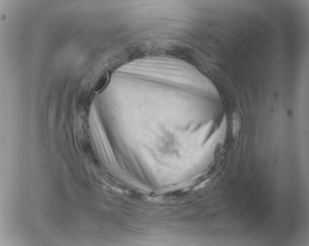 X0000053091059200508012026