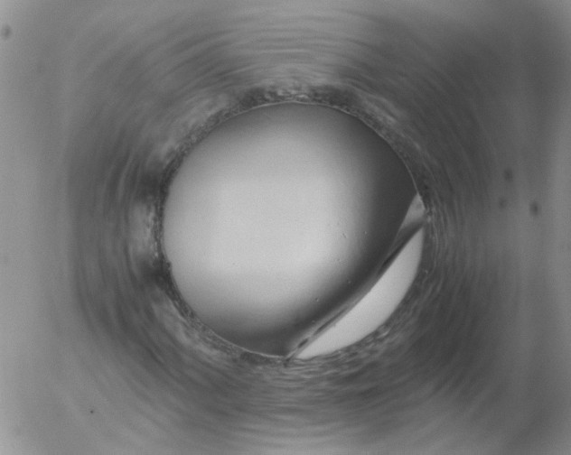 X0000053091060200508012026