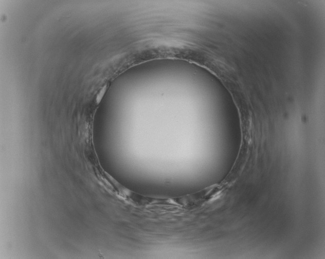 X0000053091061200508012026