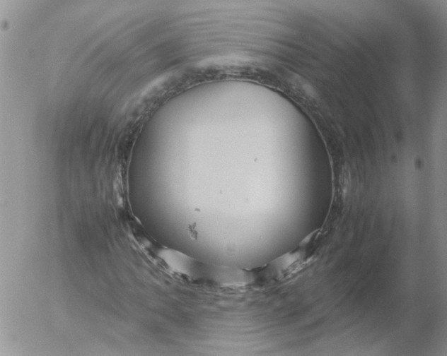 X0000053091062200508012026