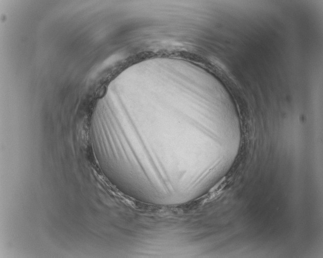 X0000053091063200508012026