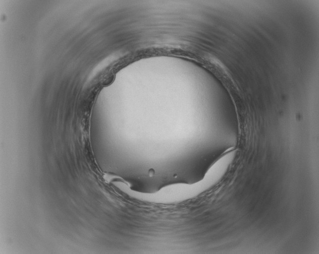 X0000053091064200508012026