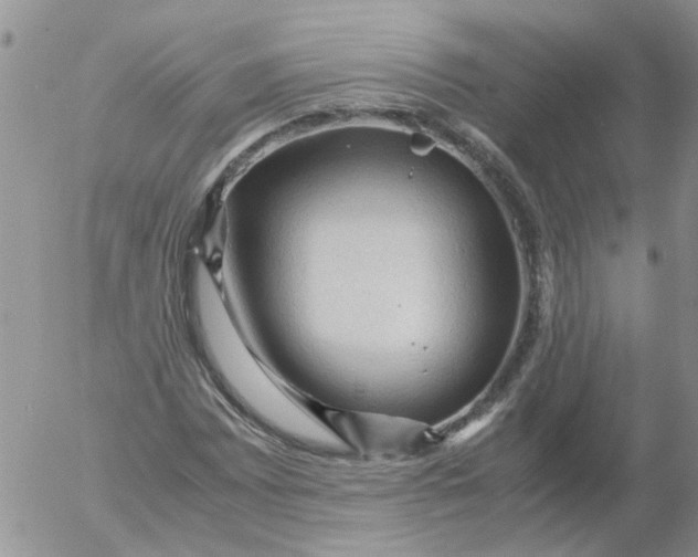 X0000053091065200508012026