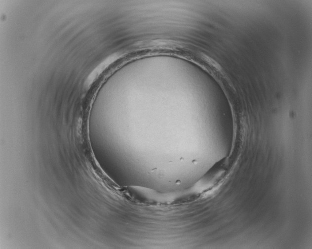 X0000053091066200508012026