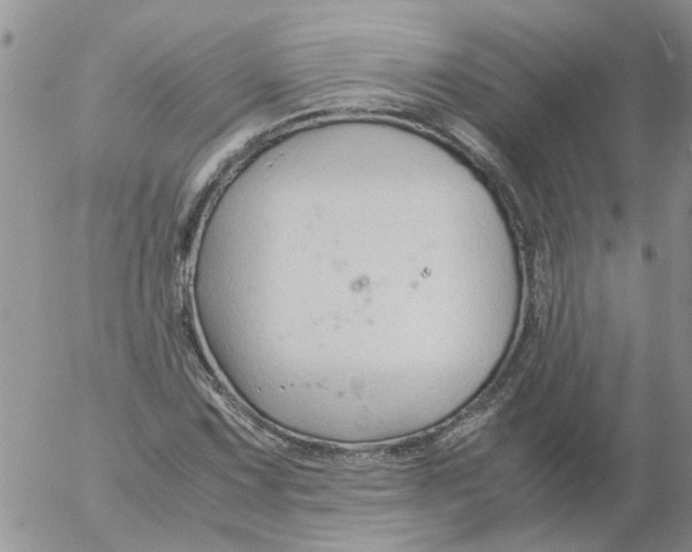 X0000053091067200508012026