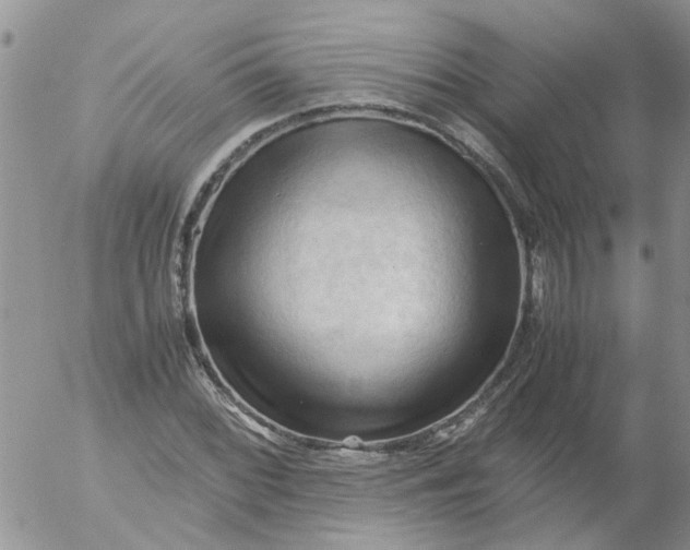 X0000053091068200508012026