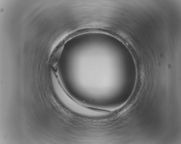 X0000053091069200508012026