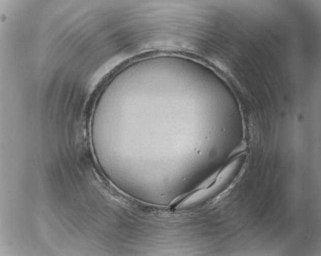 X0000053091070200508012026