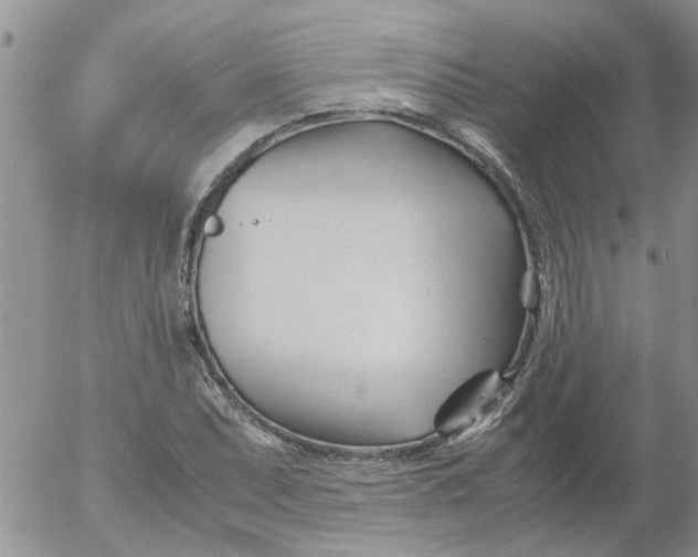 X0000053091071200508012026