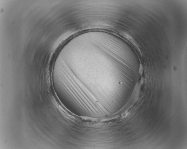 X0000053091072200508012026