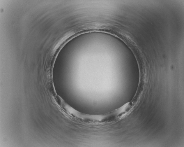 X0000053091073200508012026