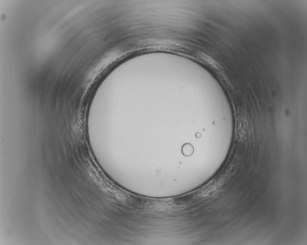 X0000053091074200508012026