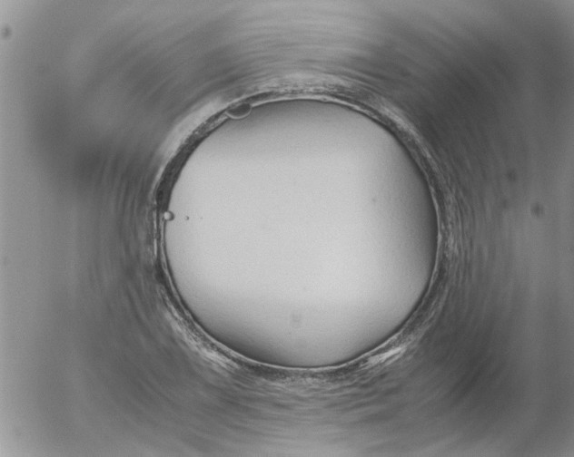 X0000053091075200508012026