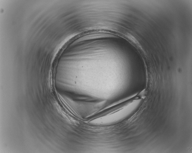 X0000053091076200508012026