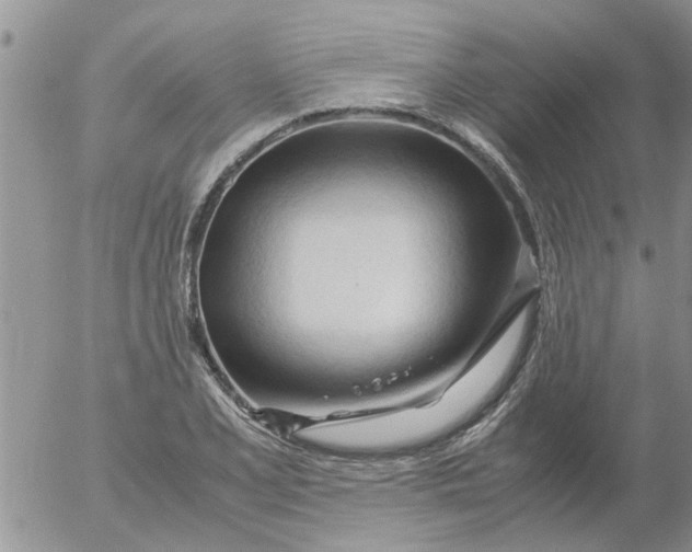 X0000053091077200508012026