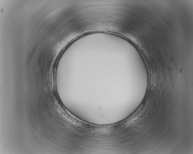 X0000053091078200508012026