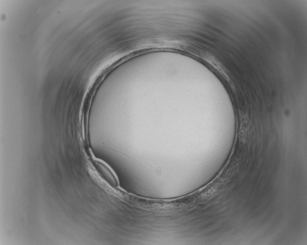 X0000053091080200508012026