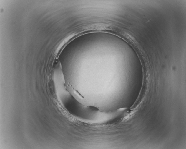 X0000053091081200508012026