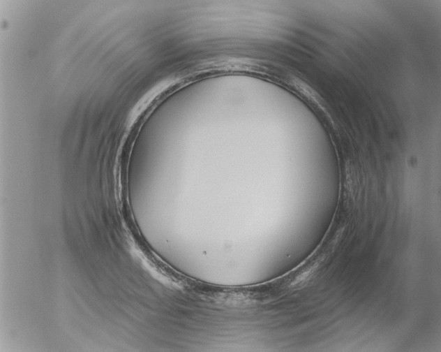 X0000053091082200508012026