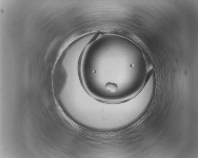 X0000053091083200508012026