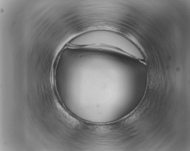 X0000053091084200508012026