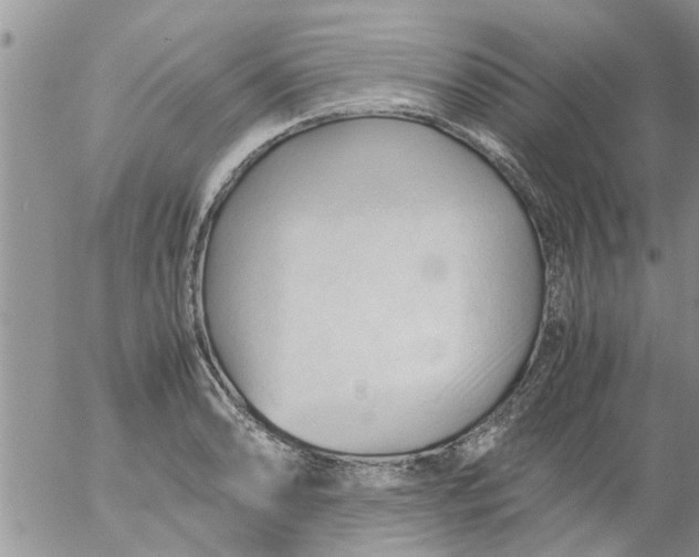 X0000053091086200508012026