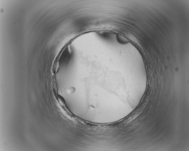 X0000053091087200508012026