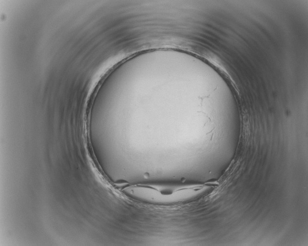 X0000053091088200508012026