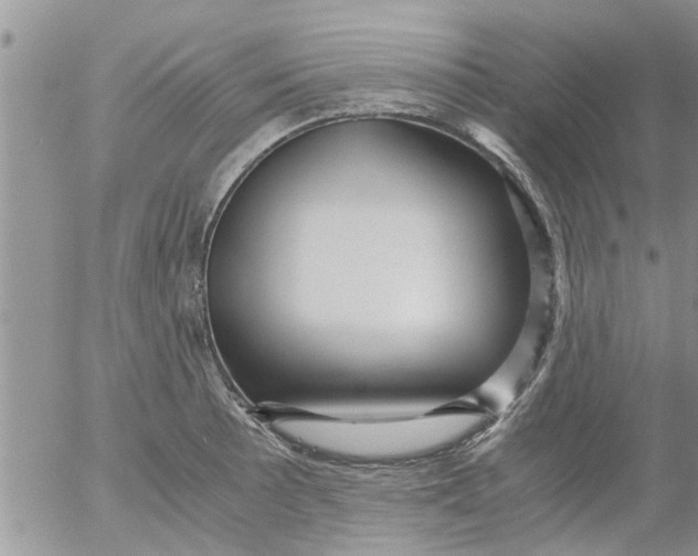 X0000053091089200508012026