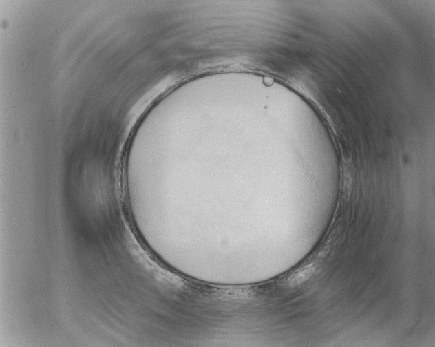 X0000053091090200508012026