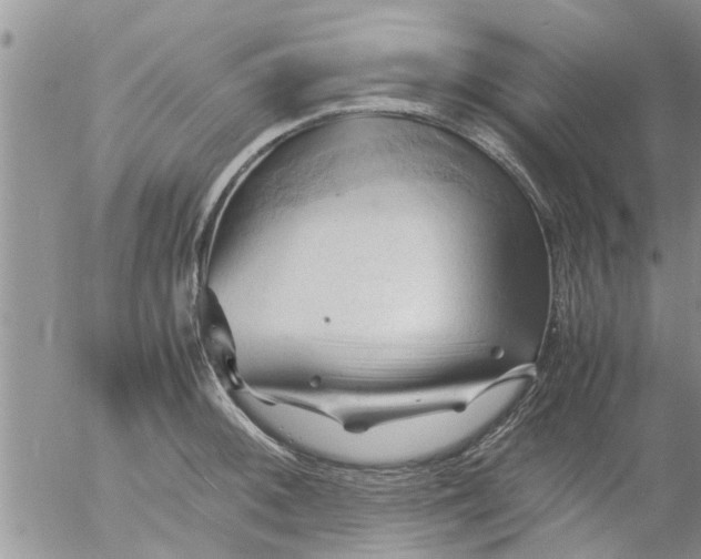 X0000053091092200508012026