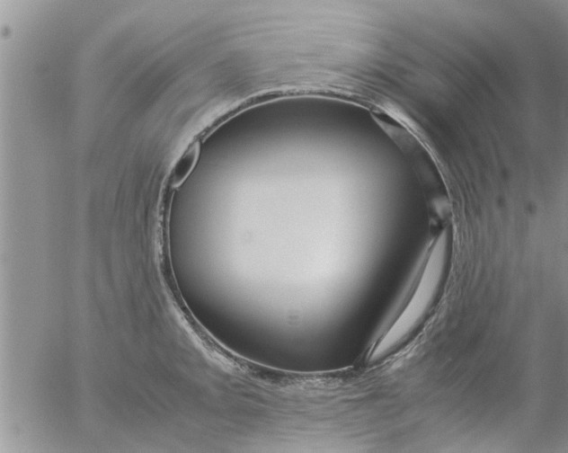 X0000053091093200508012026