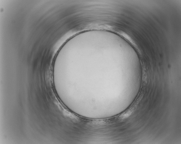 X0000053091094200508012026