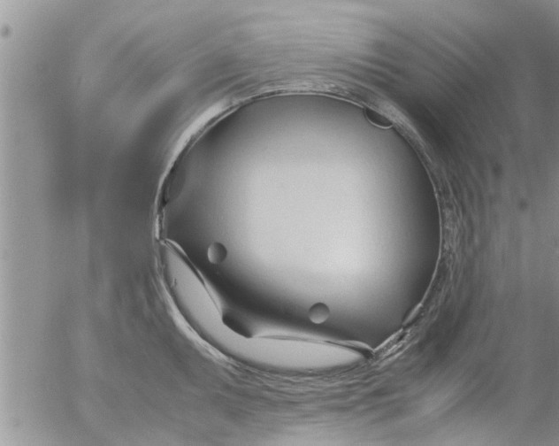 X0000053091095200508012026