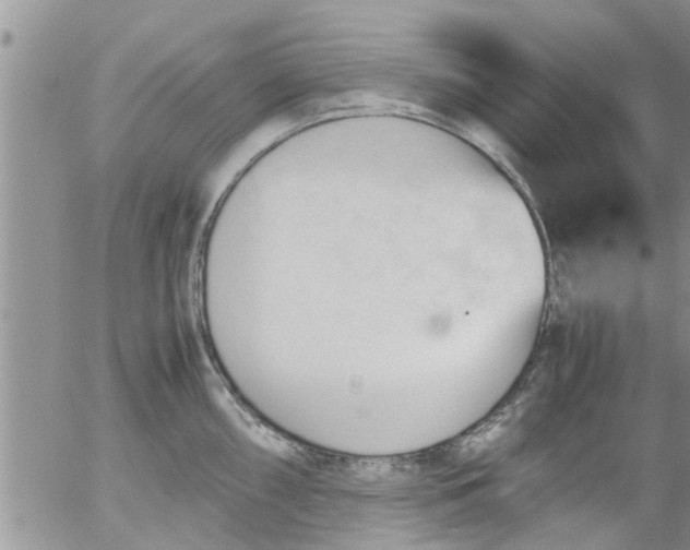 X0000053091098200508012026