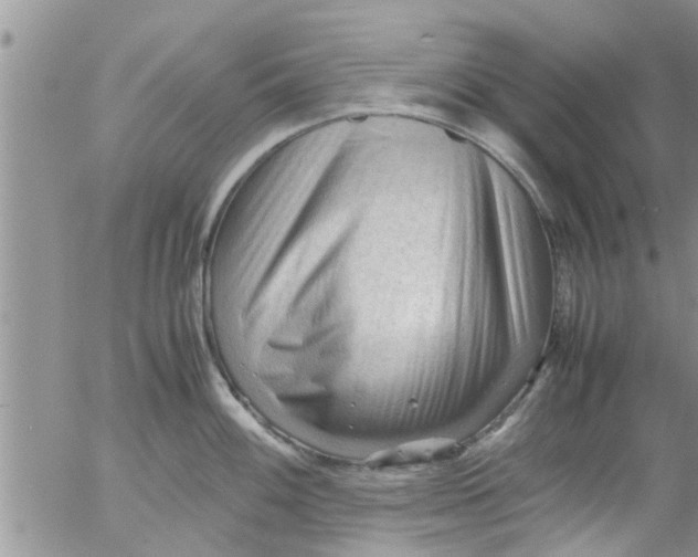 X0000053091100200508012026