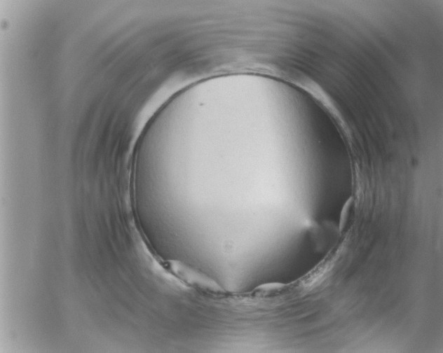 X0000053091102200508012026