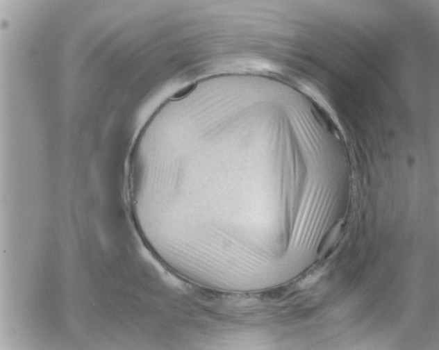 X0000053091103200508012026