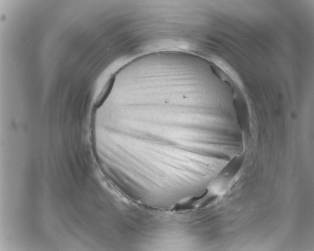 X0000053091104200508012026