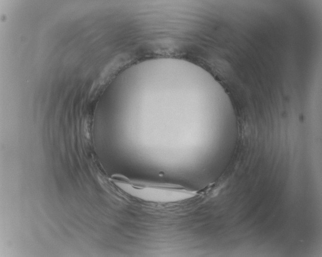 X0000053091106200508012025