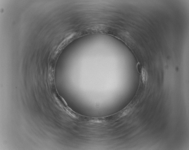 X0000053091107200508012025